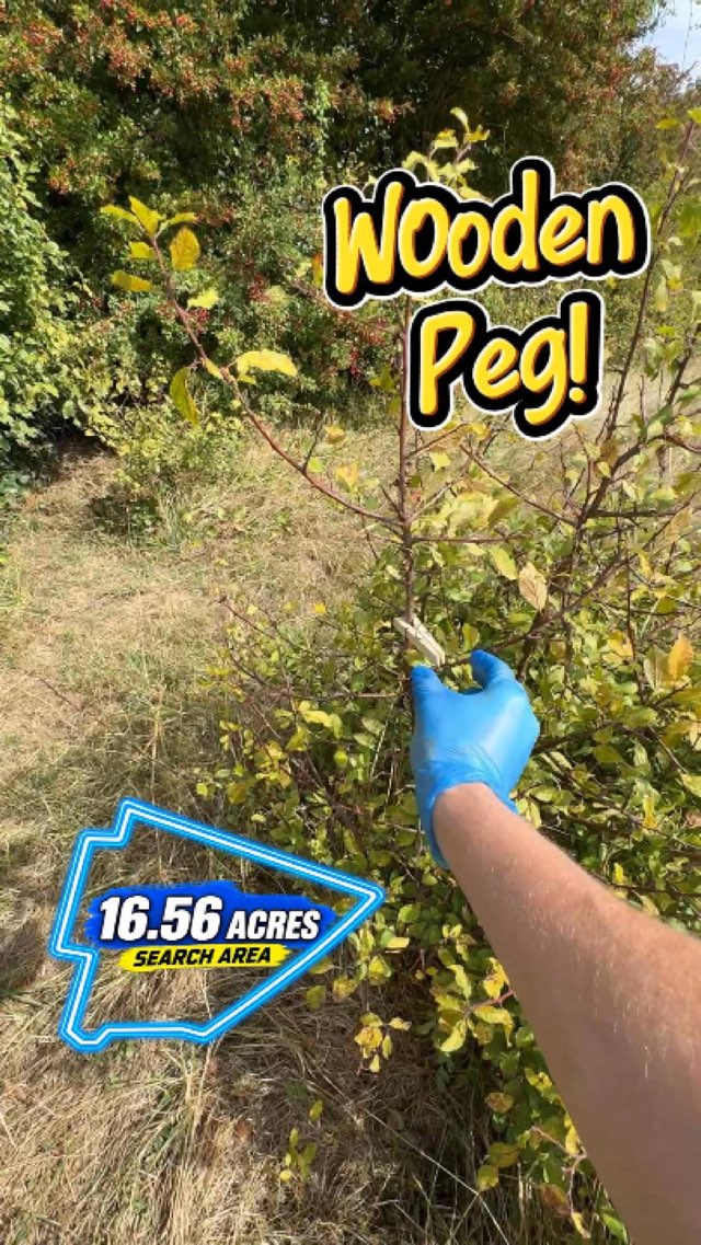 Search #009: The wooden peg